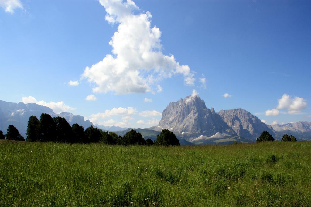 Hotel La Pineta Selva di Val Gardena Exterior photo